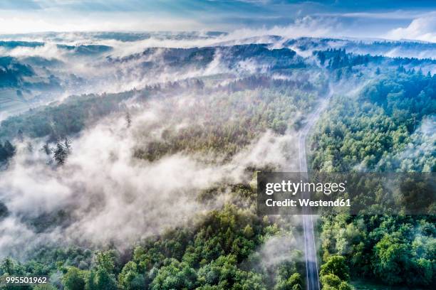 germany, baden-wuerttemberg, swabian alb, aerial view of schurwald, morning fog - baden baden aerial fotografías e imágenes de stock