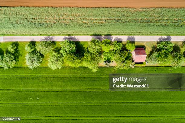 germany, baden-wuerttemberg, schurwald, field and house - baden baden aerial fotografías e imágenes de stock