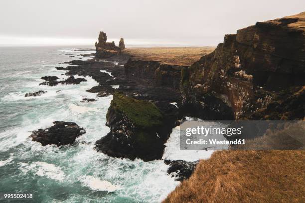 iceland, snaefells, national park snaefellsjoekull, coast at londrangar - islande du centre ouest photos et images de collection