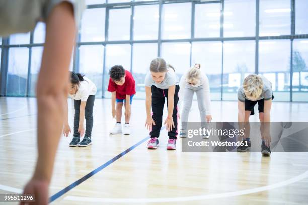pupils exercising in gym class - boy workout in gym stockfoto's en -beelden