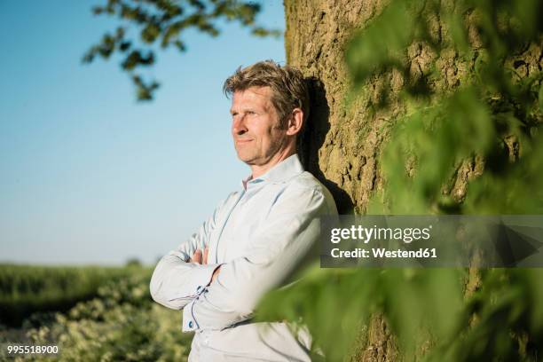 businessman leaning on tree - beschützer stock-fotos und bilder