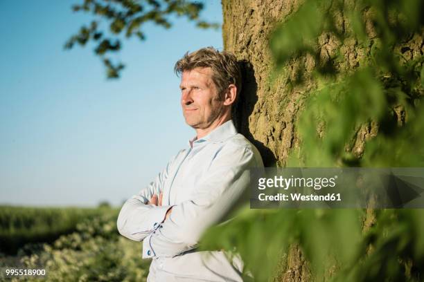 businessman leaning on tree - 庇護者 ストックフォトと画像