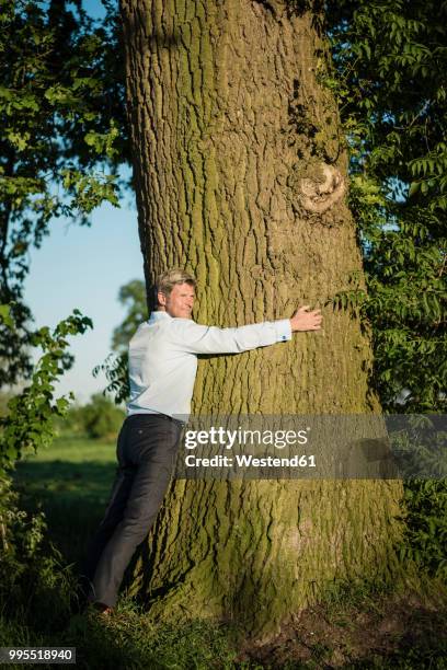 man tree hugging - beschützer stock-fotos und bilder