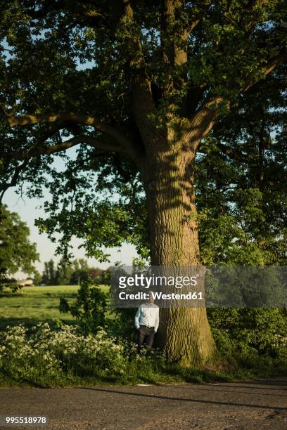 businessman leaning on tree - 庇護者 ストックフォトと画像