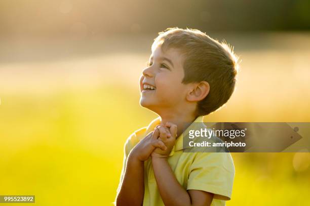 vrolijk lachende jongetje buiten in de zomer zonlicht bovenlichaam - dankbaarheid stockfoto's en -beelden