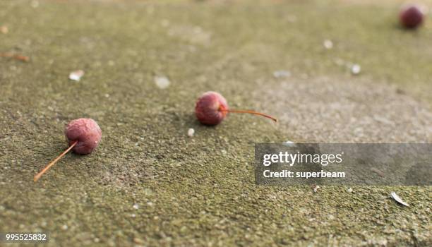 stop motion - stop motion stock pictures, royalty-free photos & images