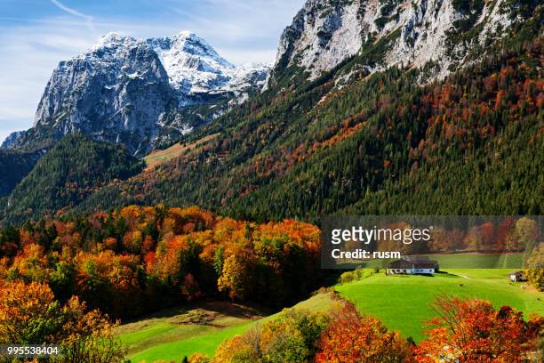 ramsau 北貝希特斯加登, 巴伐利亞阿爾卑斯, 德國的秋天看法 - berchtesgaden national park 個照片及圖片檔