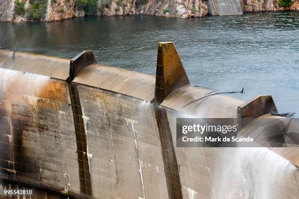 kouga dam - kununurra stockfoto's en -beelden