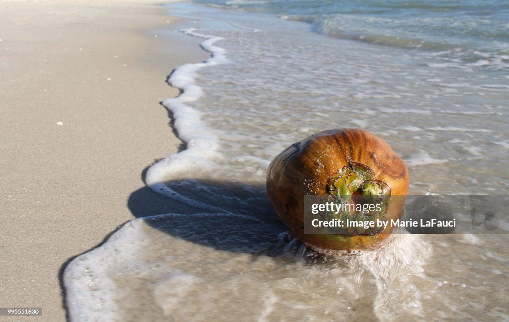 Ocean water splashing on a coconut at the beach