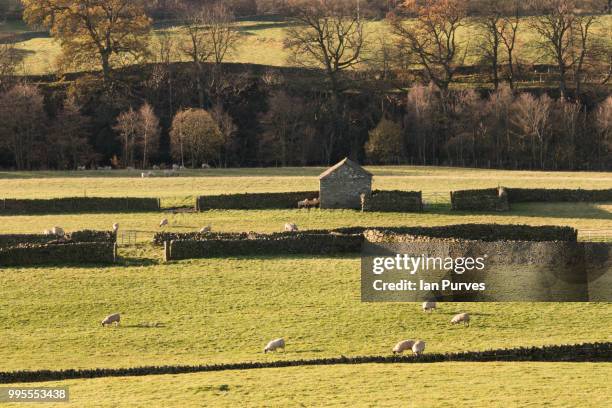 teesdale barn - teesdale stock-fotos und bilder