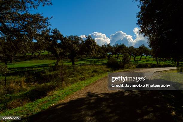 persiguiendo las nubes - nubes stock pictures, royalty-free photos & images