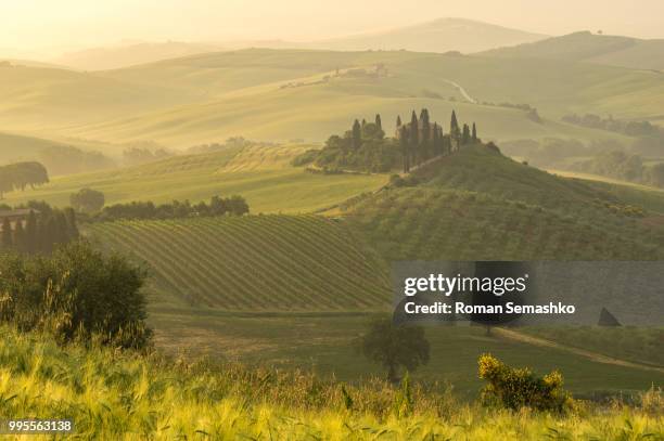 seggiano,italy - seggiano ストックフォトと画像