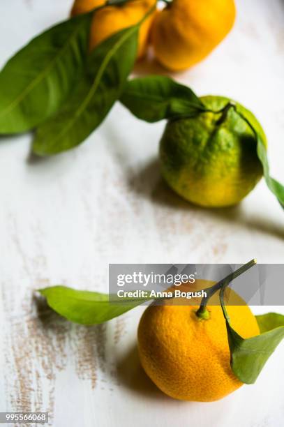 ripe tangerine with green leaves - tangerine 2015 film stock-fotos und bilder