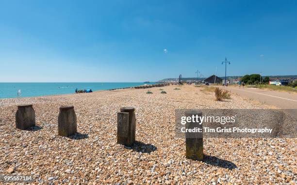 view of the beach, promenade and pier, eastbourne - eastbourne pier photos et images de collection