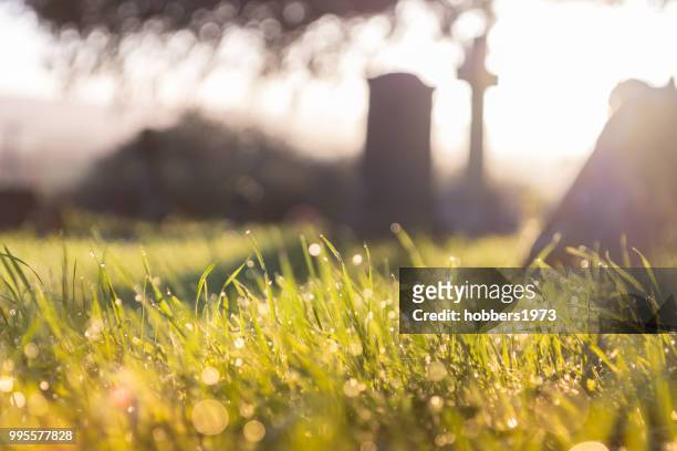 in memoriam #4 - 1973 2015 stock pictures, royalty-free photos & images