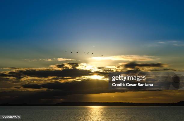 atardecer - atardecer playa stock pictures, royalty-free photos & images