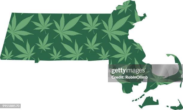 massachusetts marijuana leaves pattern - robinolimb stock illustrations