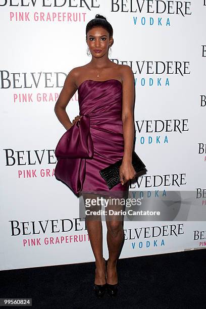 Model Sessilee Lopez attends the Belvedere Pink Grapefruit "In The Pink" launch party at The Belvedere Pink Grapefruit Pop-Up on May 14, 2010 in New...