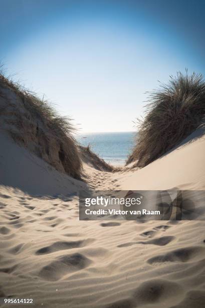 dune way - raam stock pictures, royalty-free photos & images