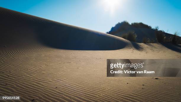 sun dune - raam stock pictures, royalty-free photos & images