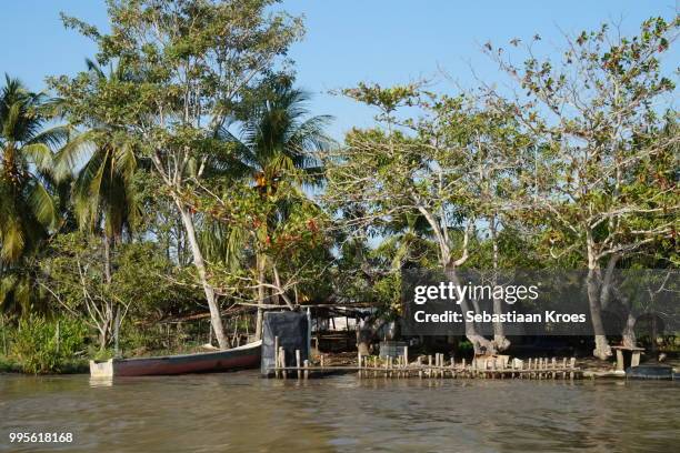 houses along the river, cartagena, colombia - sebastiaan kroes stock pictures, royalty-free photos & images