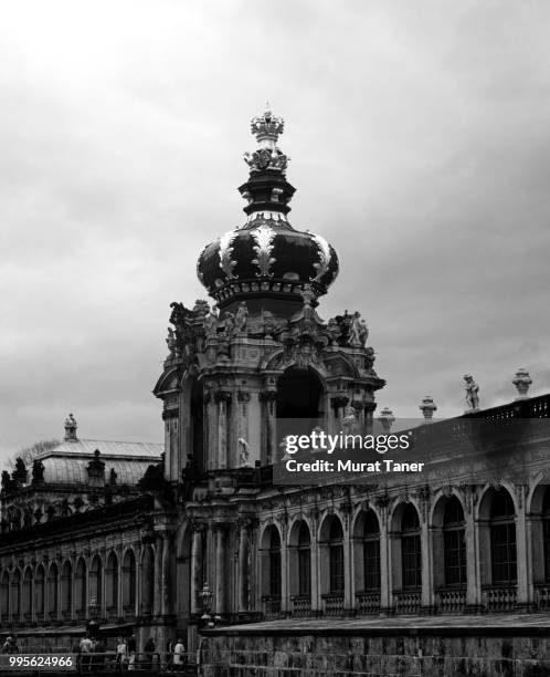 zwinger palace in dresden - zwanger stock-fotos und bilder