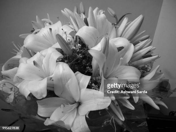 floral - sarda 個照片及圖片檔