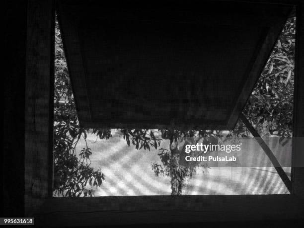 untitled - pulsalab ph chiara puleo - puleo stock pictures, royalty-free photos & images