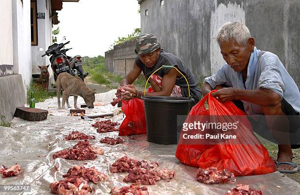 Pig meat is divided up and bagged for families after slaughtering ahead of the Balinese holiday Galungan on May 10, 2010 in Canggu, Indonesia....