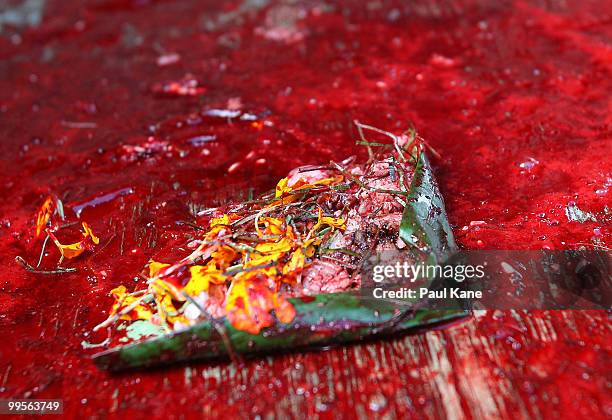 An offering is pictured on the floor covered in blood after the slaughtering of pigs ahead of the Balinese holiday Galungan on May 10, 2010 in...