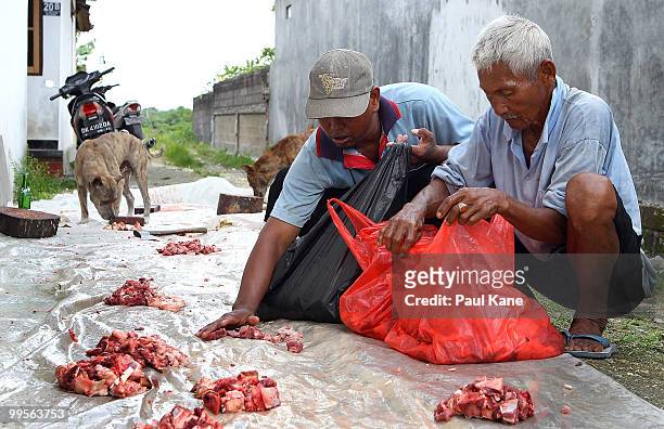 Pig meat is divided up and bagged for families after slaughtering ahead of the Balinese holiday Galungan on May 10, 2010 in Canggu, Indonesia....
