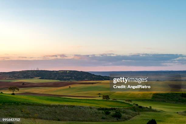 spring landscape - miguelangelortega stock pictures, royalty-free photos & images