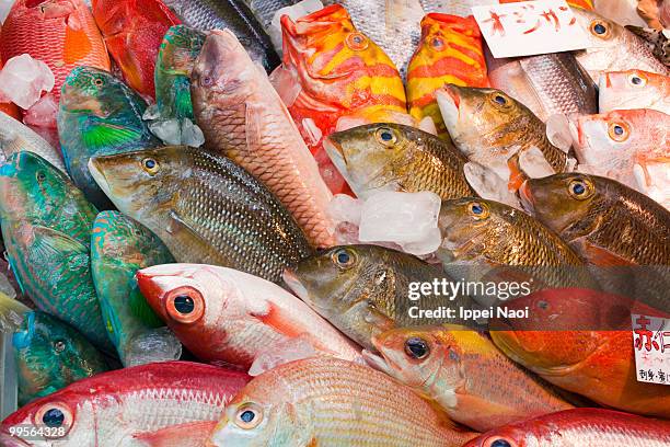 fresh colorful tropical fish at the market, japan - fish market stockfoto's en -beelden