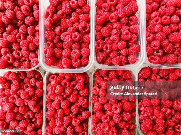 high angle view of raspberry in containers on a market stall at farmer's market - raspberry plant stock pictures, royalty-free photos & images