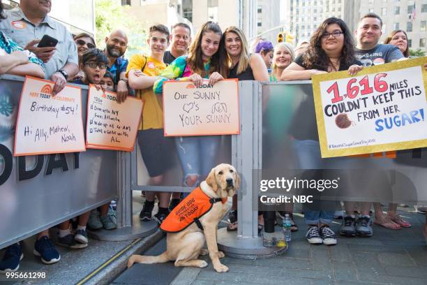 Al Roker on Monday, July 9, 2018 --