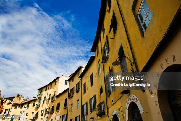 piazza amphitheater in lucca - consiglio stock pictures, royalty-free photos & images