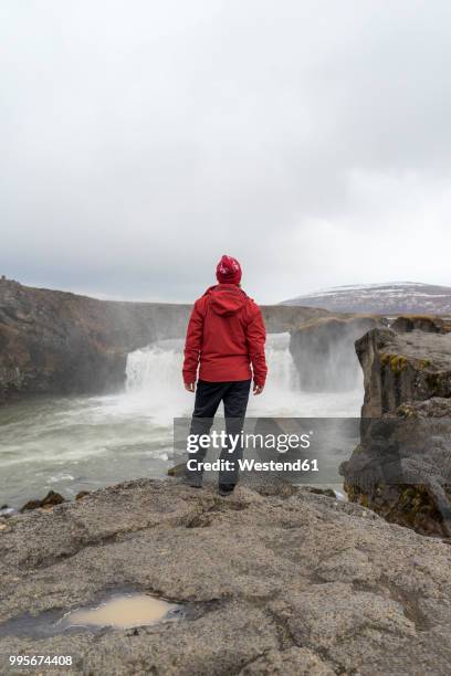 iceland, north of iceland, young man looking to waterfall - westend61 stockfoto's en -beelden