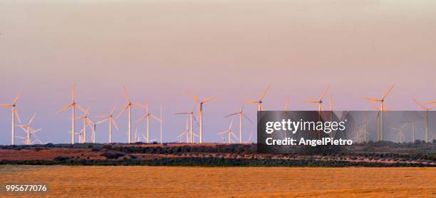 eolic park - ciudad real province stock pictures, royalty-free photos & images