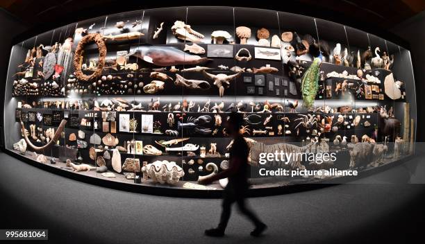 Man stands in front of a giant showcase during the presentation of a new special exhibition at the Nature Museum in Frankfurt/Main, Germany, 29...