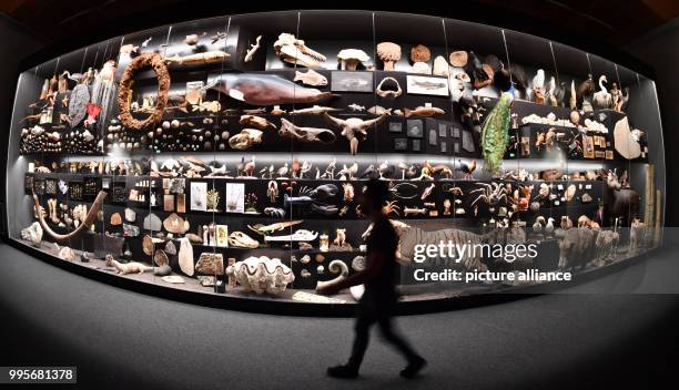 Man stands in front of a giant showcase during the presentation of a new special exhibition at the Nature Museum in Frankfurt/Main, Germany, 29...