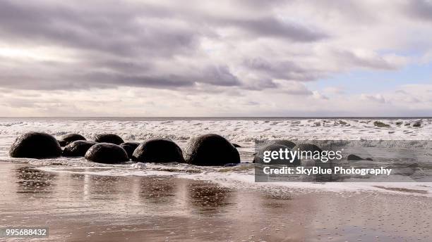 moeraki boulders - moeraki stock pictures, royalty-free photos & images