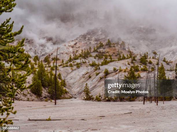 roaring mountain - mammoth hot springs - archaebacteria stock pictures, royalty-free photos & images