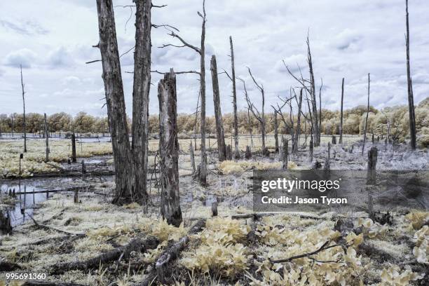 Broken Ridge Photos and Premium High Res Pictures - Getty Images