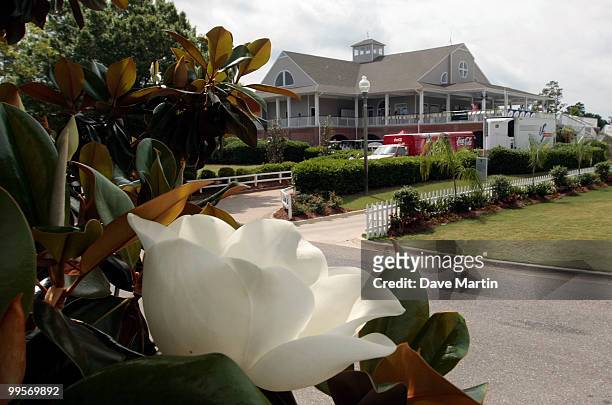 Magnolia blossom graces a tree outside the clubhouse and patron entrance during third round play in the Bell Micro LPGA Classic at the Magnolia Grove...