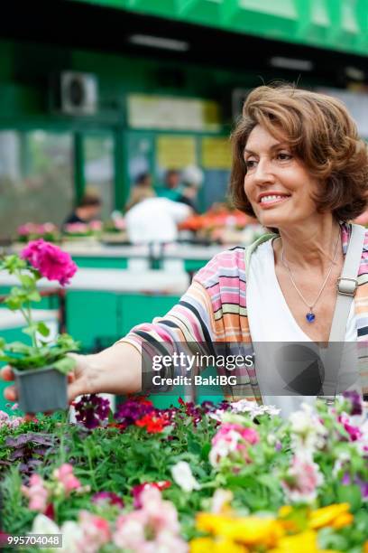 senior fwoman boodschappen te doen - bakibg stockfoto's en -beelden