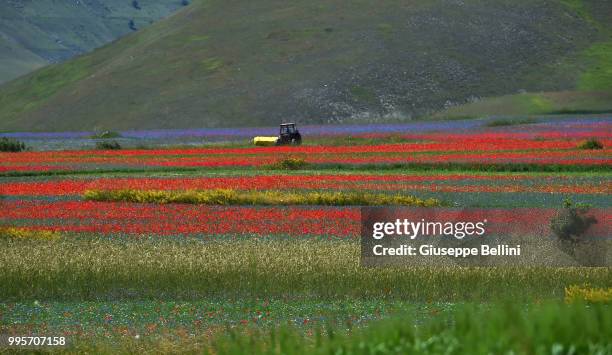 General view during Annual Blossom in Castelluccio on July 10, 2018 in Castelluccio di Norcia near Perugia, Italy.