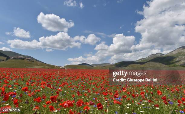 General view during Annual Blossom in Castelluccio on July 10, 2018 in Castelluccio di Norcia near Perugia, Italy.