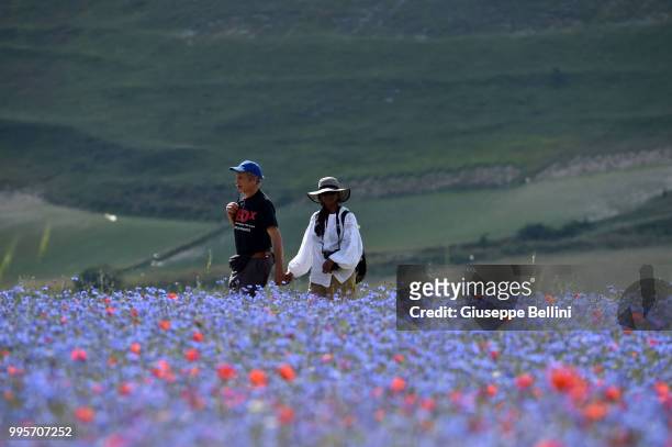 People walk in the fields during Annual Blossom in Castelluccio on July 10, 2018 in Castelluccio di Norcia near Perugia, Italy.