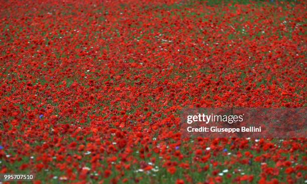 Atmosphere during Annual Blossom in Castelluccio on July 10, 2018 in Castelluccio di Norcia near Perugia, Italy.