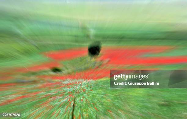 Atmosphere during Annual Blossom in Castelluccio on July 10, 2018 in Castelluccio di Norcia near Perugia, Italy.